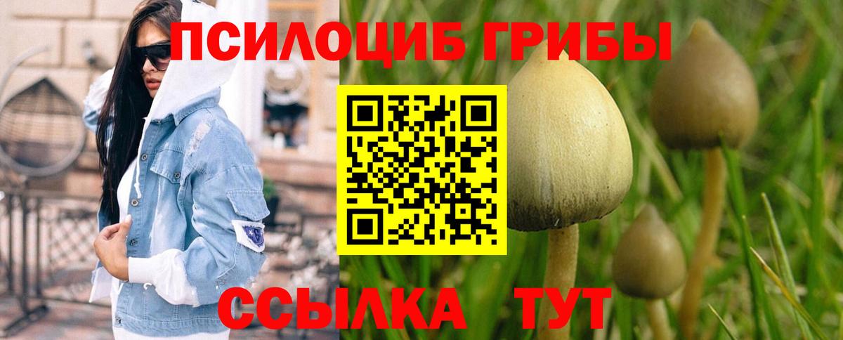 Галлюциногенные грибы Psilocybine cubensis Алексеевка
